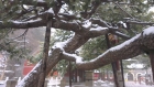 雪中潭柘寺