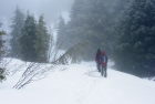 Mt. Si hiking