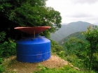 计划搞一个雨水收集系统应对果园的干旱问题