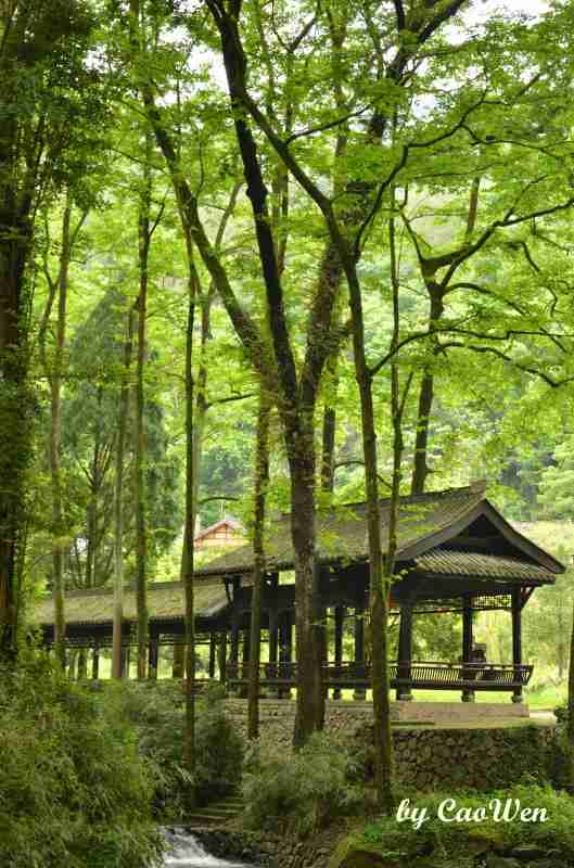 【四时偶记】芒种