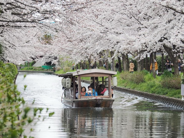 2019.4.3醍醐寺