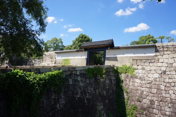 DSC00506.JPG
