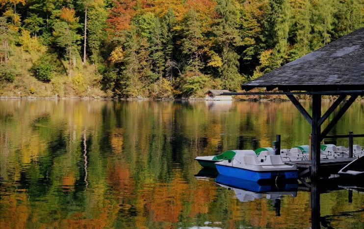 一年好景君须记，最是橙黄橘绿时。清晨的阿尔卑斯湖，宁静的湖面倒映着秋色渐浓的山坡。 ... ... ...
