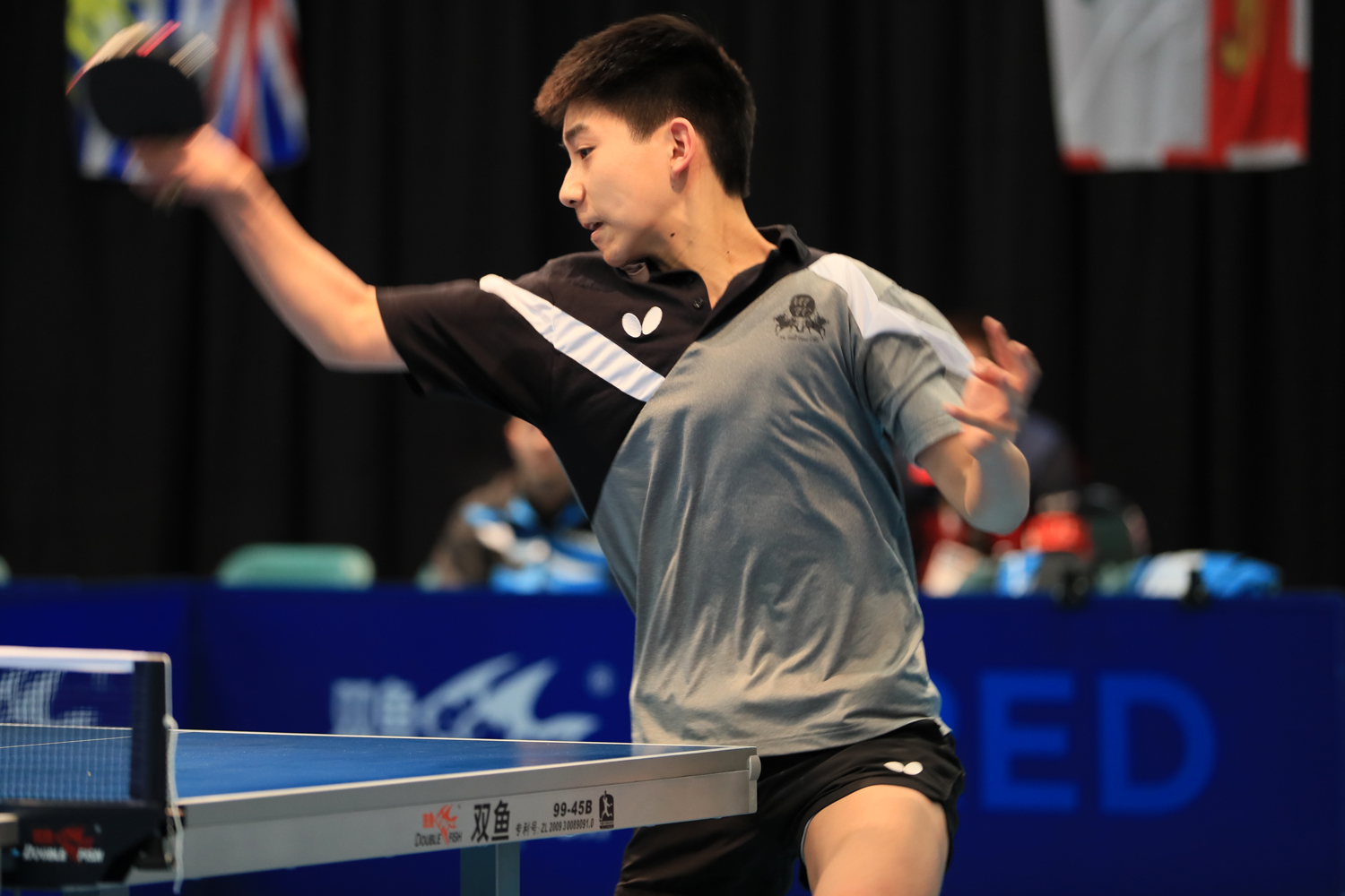 Francis Zhou 2019-02-17 Table Tennis (9).jpg