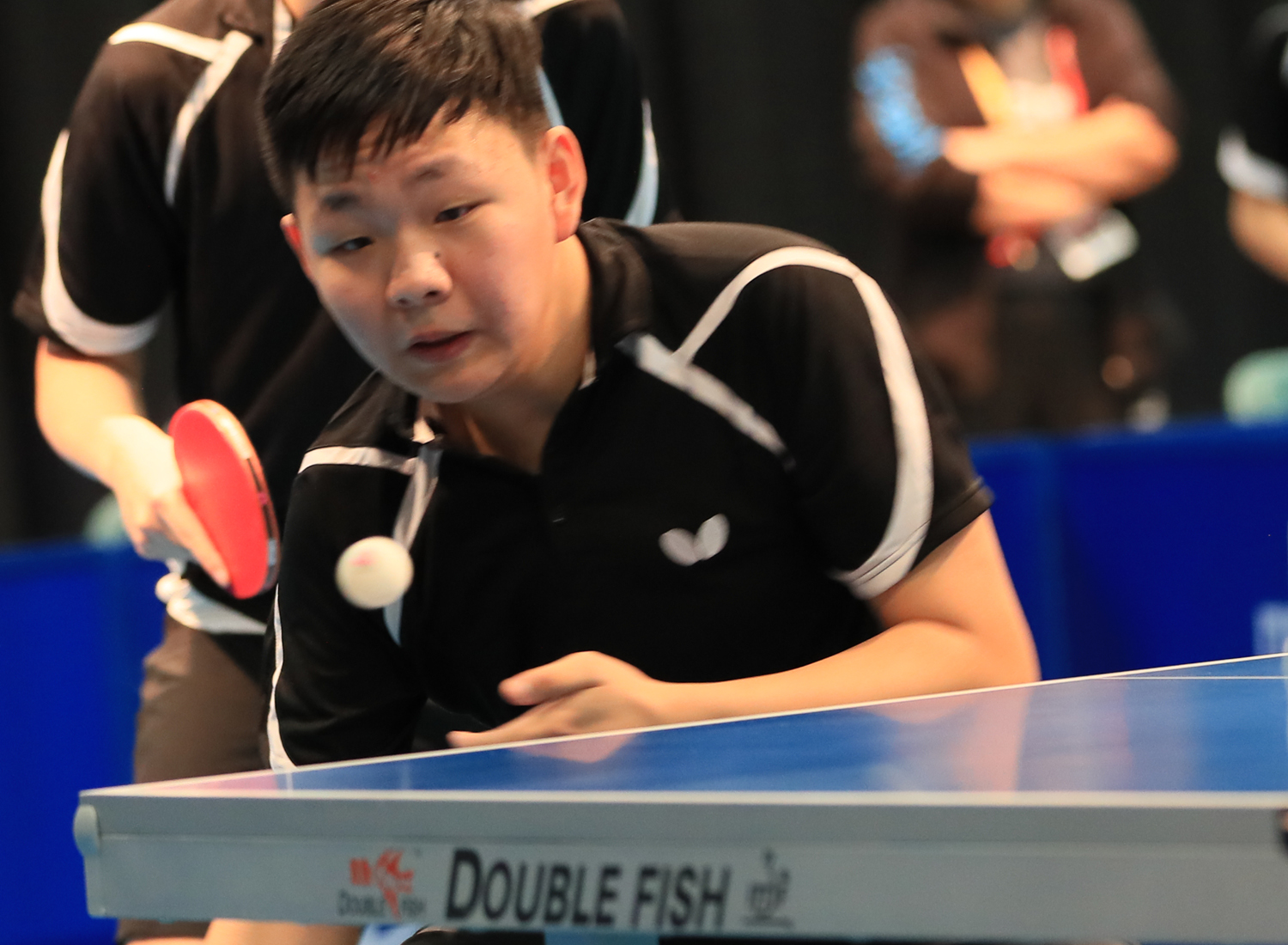 Francis Zhou 2019-02-17 Table Tennis (38).jpg